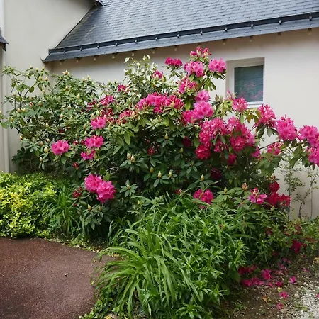 Maison Avec Piscine Chauffee-le Denac- Golf De La Baule